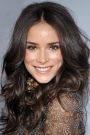 Abigail Spencer Film ve Dizileri